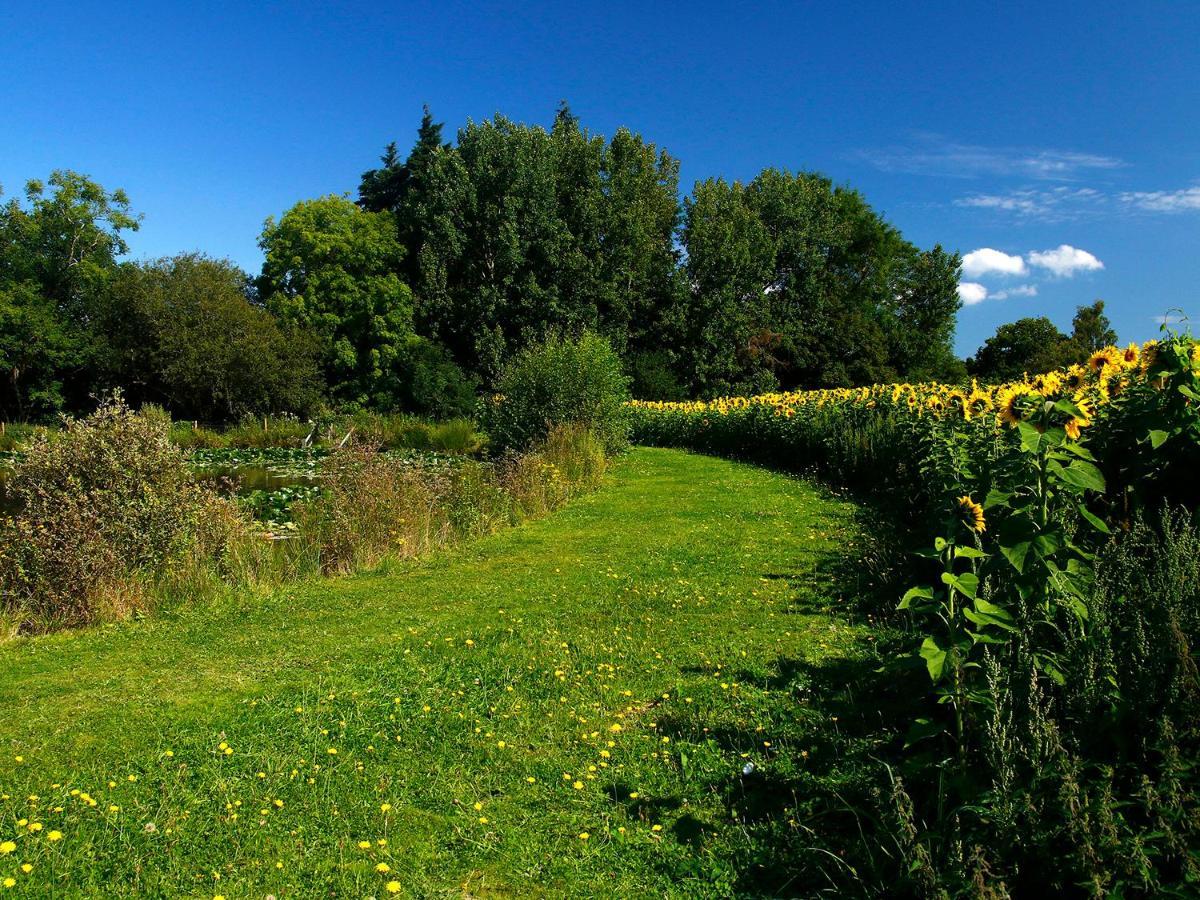 Cherry Lodge Newton Abbot Exteriör bild